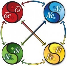 Striving Styles, MBTI, Jung & Four Quadrants of the Brain